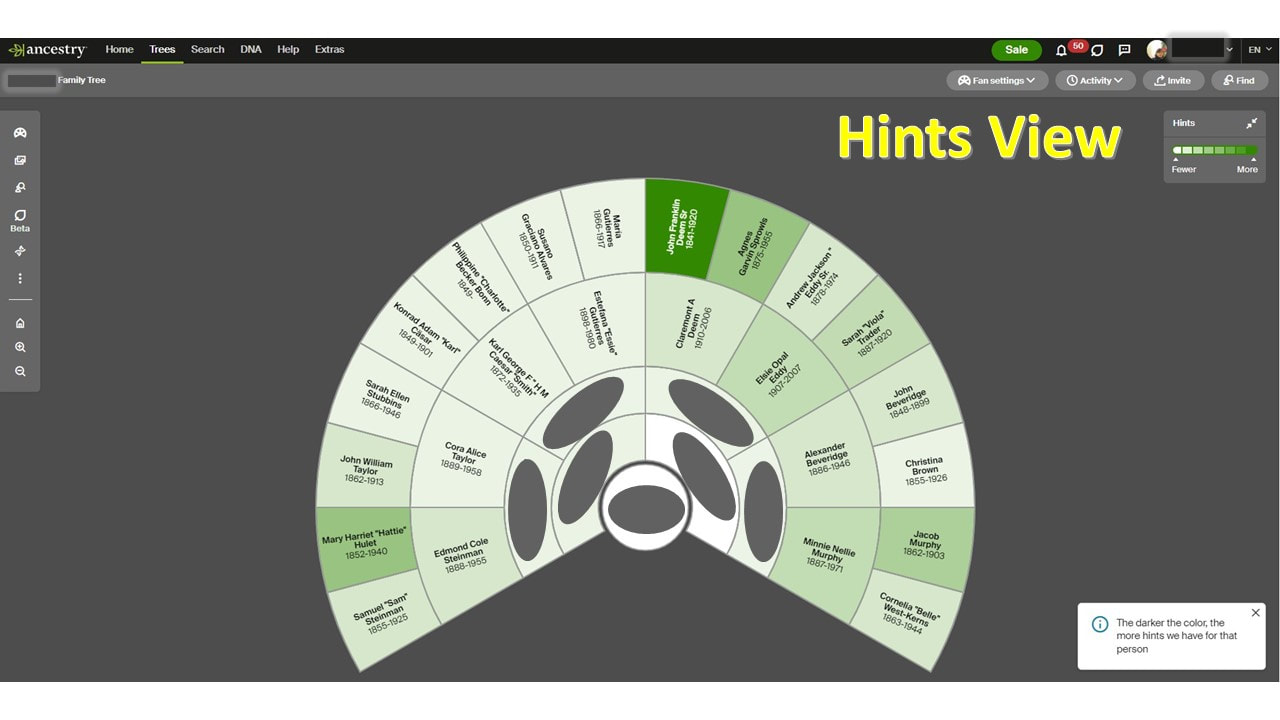 Ancestry's New Fan View Feature for Your Family Tree! - Know Who Wears the  Genes in Your Family:Family History and Genealogy