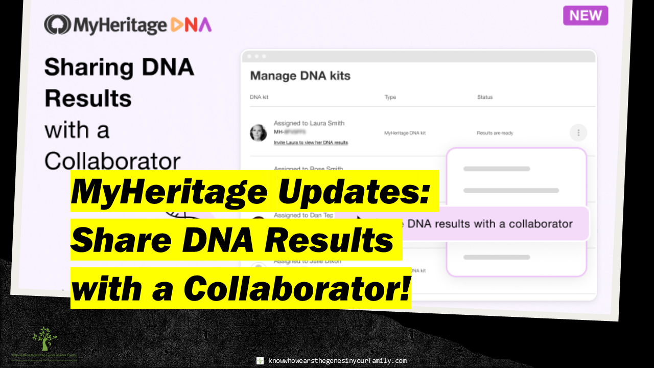MyHeritage Updates, Share DNA Results Collaborator, New at MyHeritage