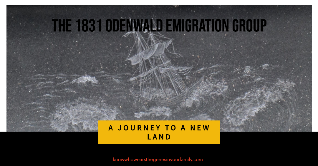 German Ancestry, Odenwald Emigration Group, Lutheran Germans in America, Famous Dove Shipwreck, German Genealogy