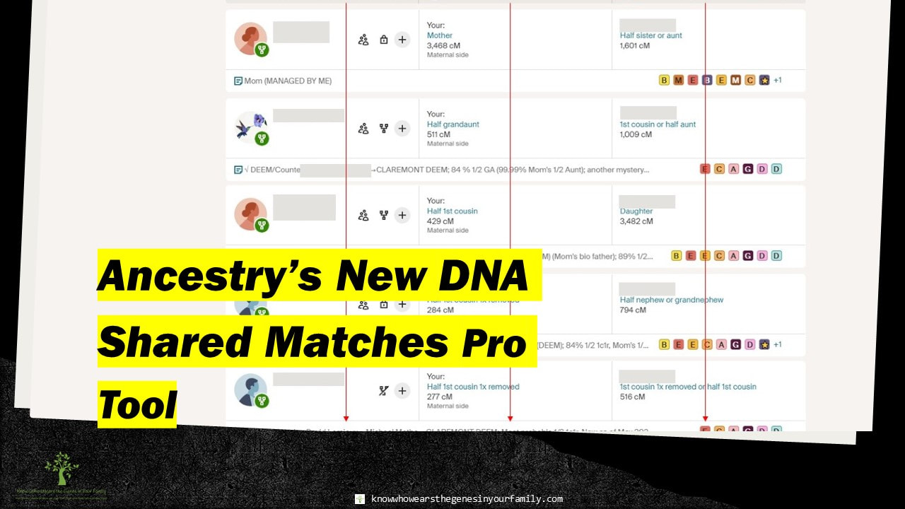 Ancestry DNA Enhanced Shared Matches Pro Tool
