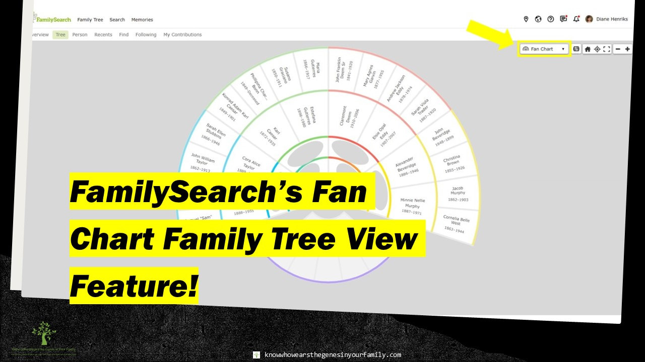 Genealogy Resources, FamilySearch Fan View, FamilySearch Features